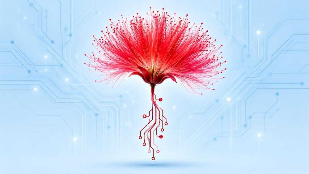 Midnight Mimosa sounds poetic, but it's dangerous. | Image by Bitdefender - Check your phone right now: Severe malware discovered hidden inside thousands of budget Androids