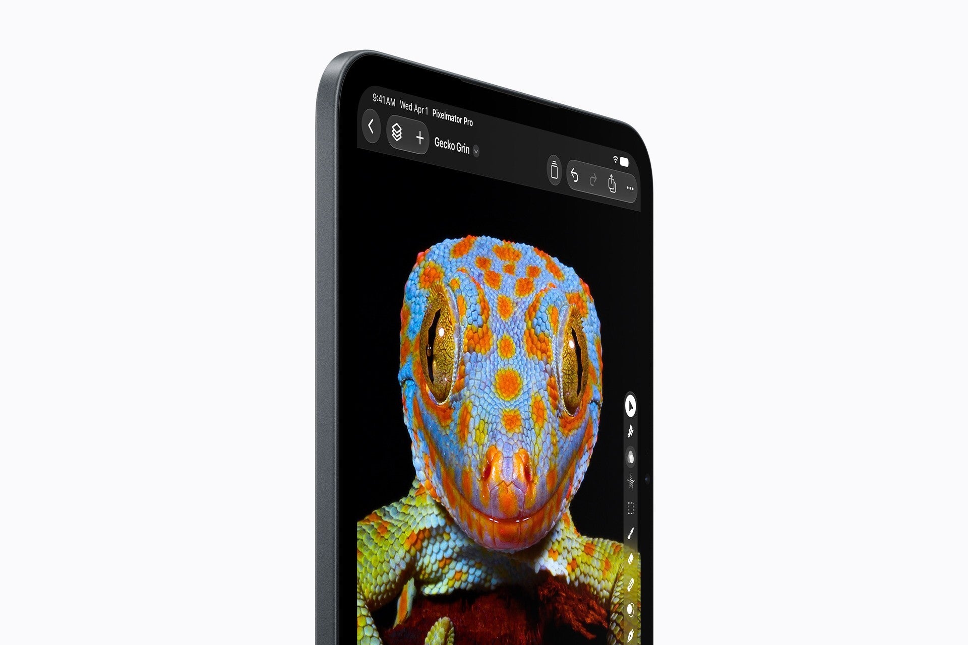 Close-up of the iPad mini OLED screen showing a gecko