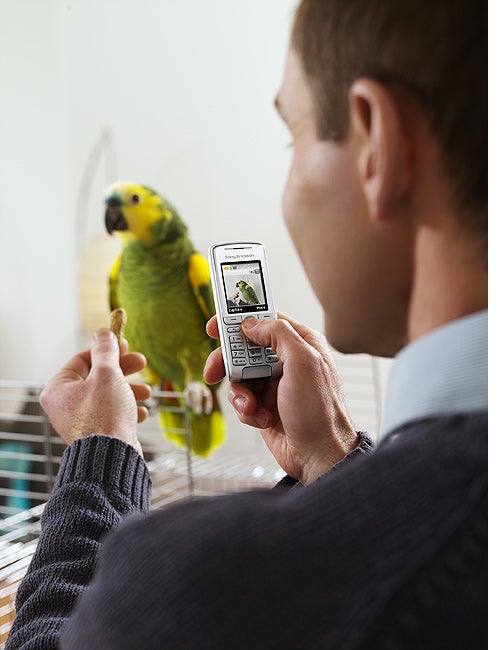 Sony Ericsson unveils six new cellphones