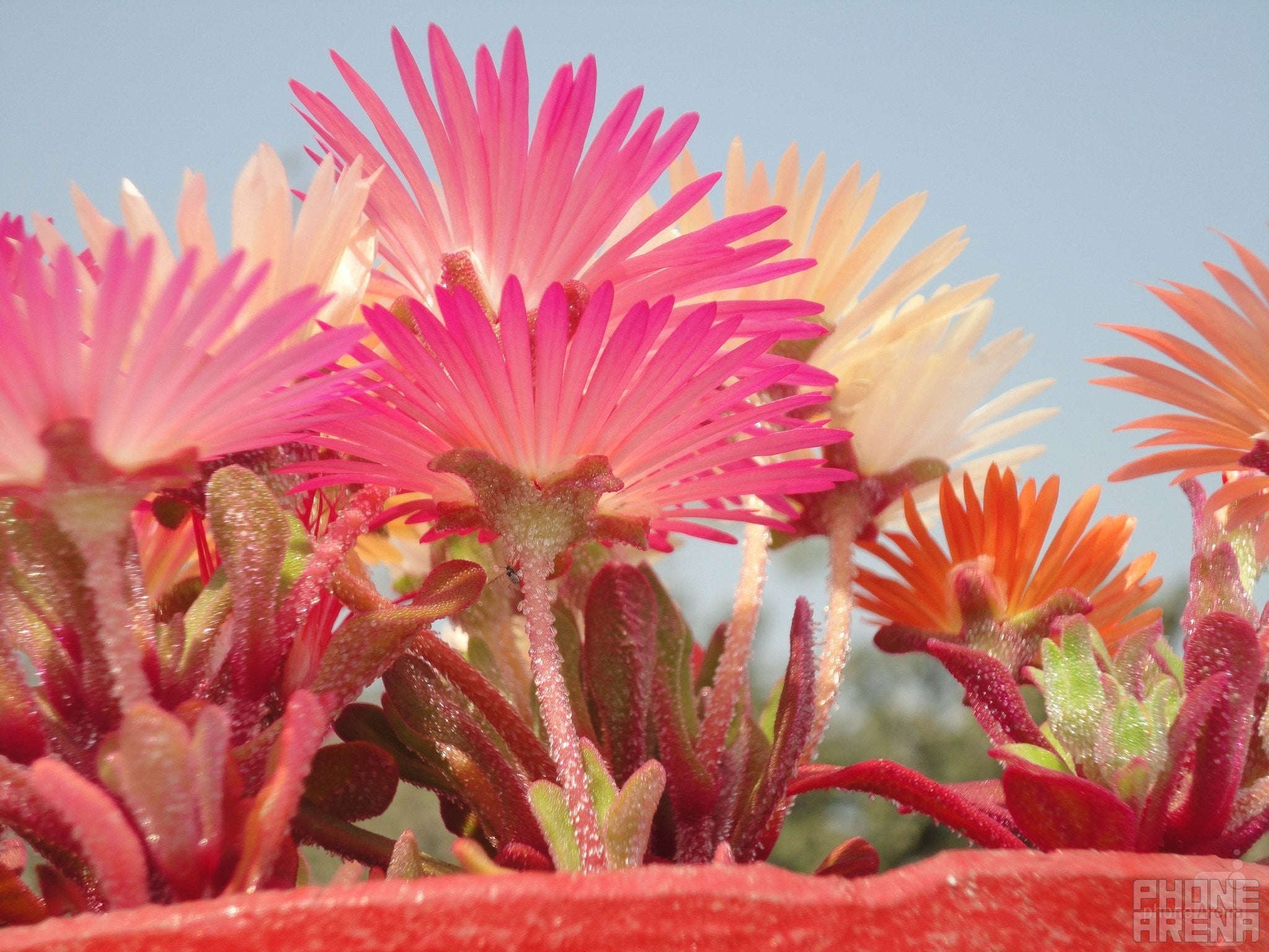 Awais Yousaf - Samsung Galaxy GioLast time's winner - Cool images, taken with your cell phone #33