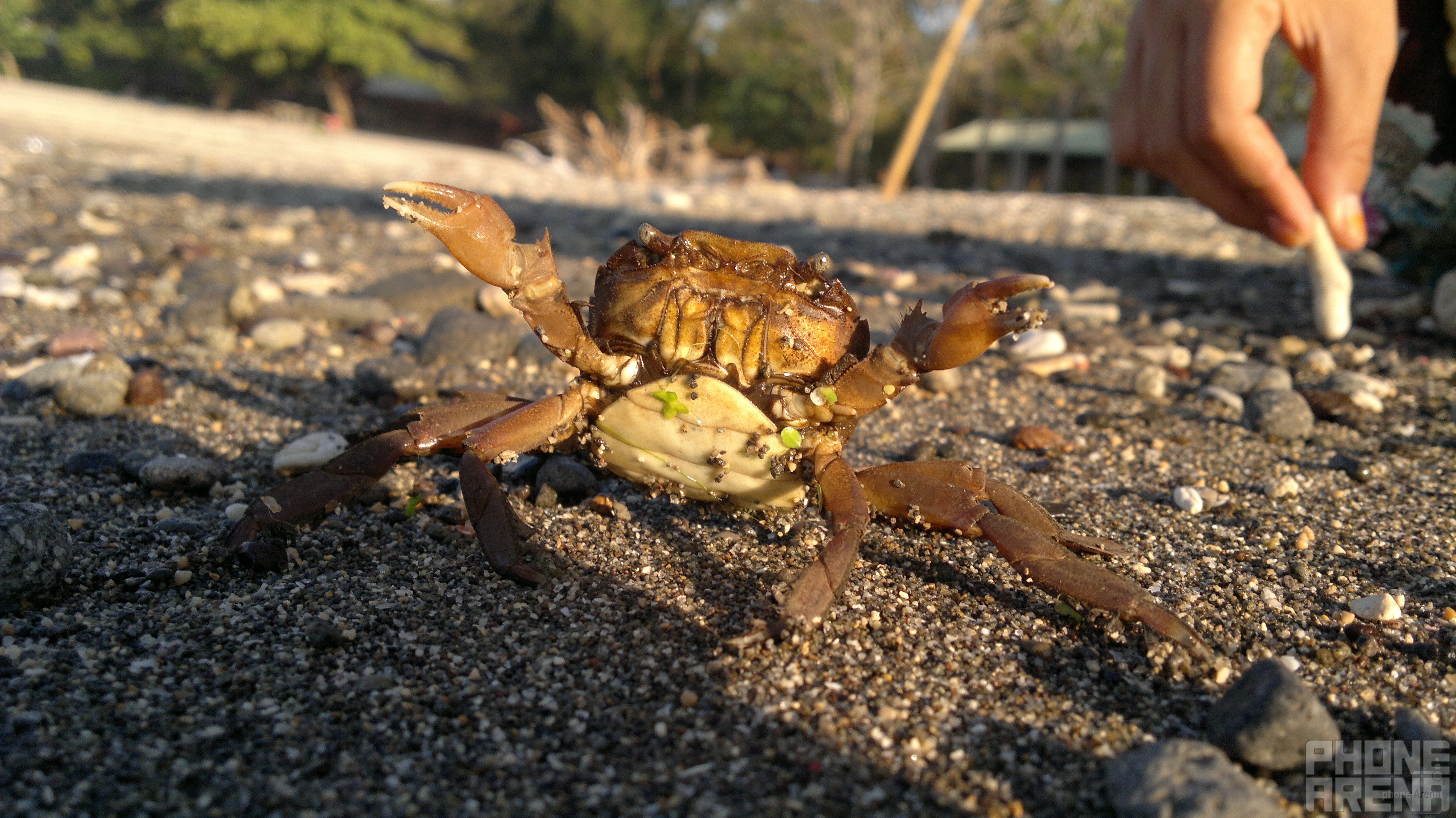 Fahri Kudrihan - Nokia N8Last time's winner - Cool images, taken with your cell phone #37