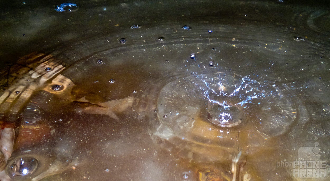 13. Phelan Xiong - Nokia N8-00Rain DropLast time's winner - Cool images, taken with your cell phone #36