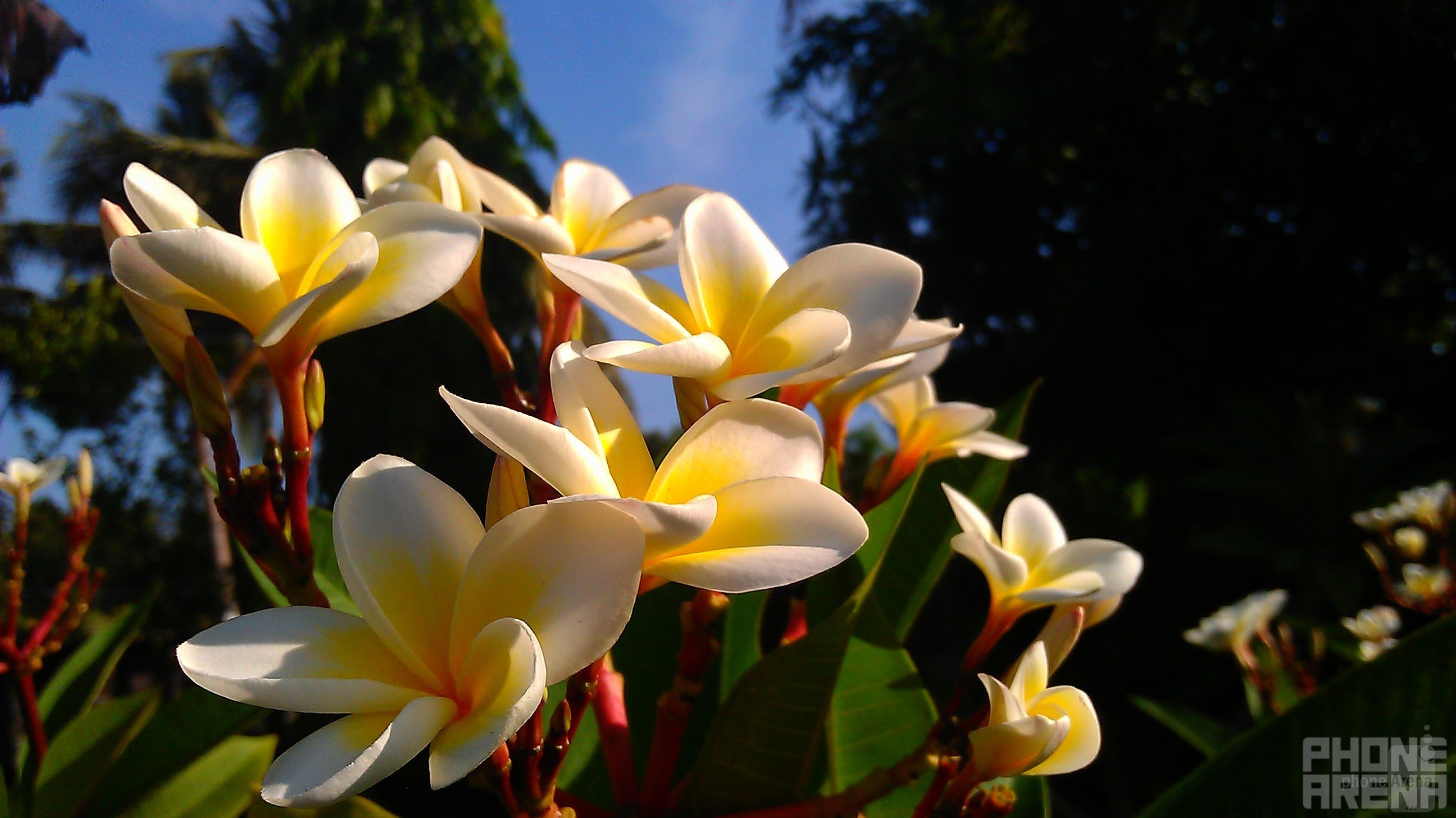 Deil Esguerra - HTC Sensation XELast time's winner - Cool images, taken with your cell phone #42