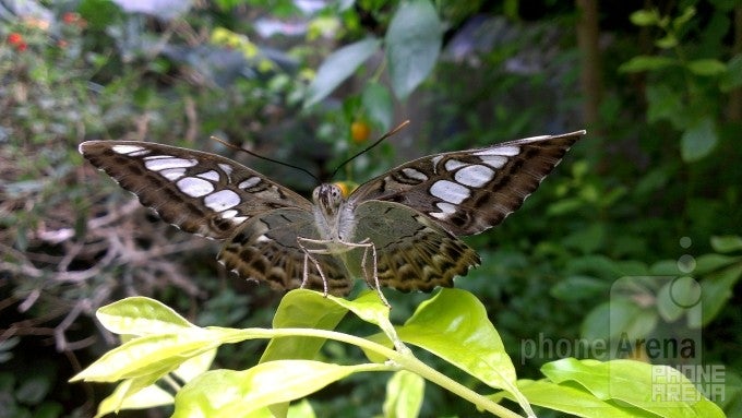 Brian Ogden - HTC One XLast time's wimnner - Cool images, taken with your cell phone #55
