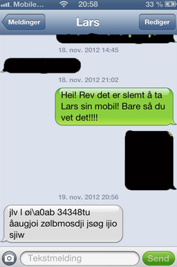 Sly fox steals a smartphone, then answers a phone call and sends a text