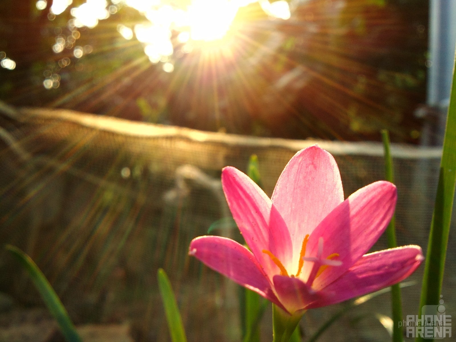 Last time's winner - Le Anh Tuan - Sony Ericsson C901 - Cool images, taken with your cell phone #62