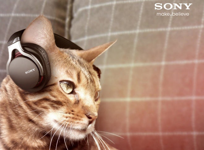 Sony unveils Animalia family of products designed for your pets
