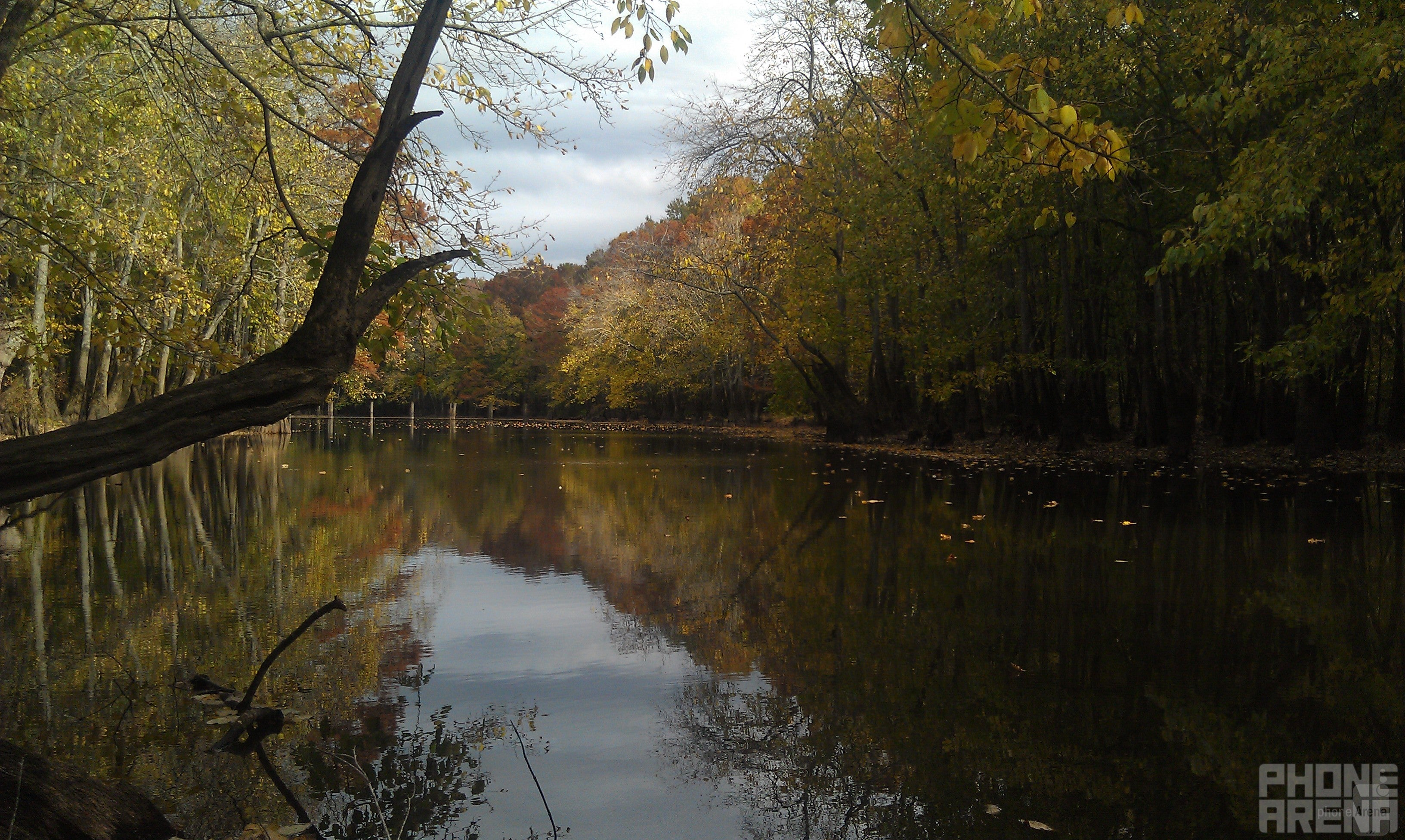 Last time's winner - Johnna Devasier - HTC ThunderBolt - Cool images, taken with your cell phone #65