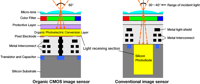 New organic image sensor for phones and cameras to offer the highest dynamic range