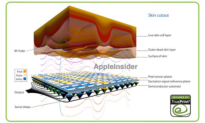 The Apple iPhone 5S fingerprint scanner will use technology acquired by Apple last year - Analyst: Fingerprint scanner coming to the sapphire home button of the Apple iPhone 5S