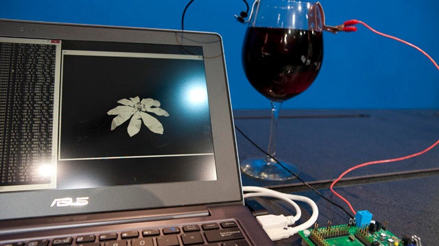 Intel demos mobile chip so frugal it can be powered by wine, still recognize you by the way you walk