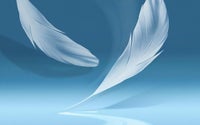 feather-wallpaper