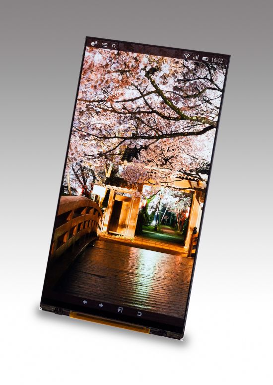 Japan Display unveils a 5.4&#039;&#039; and 6.2&#039;&#039;, 1440x2560 pixel resolution screens