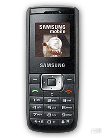 Samsung SGH-B100