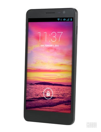 Plum Coach Pro