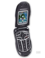 Motorola ic502 Buzz