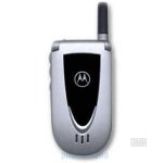 Motorola V66