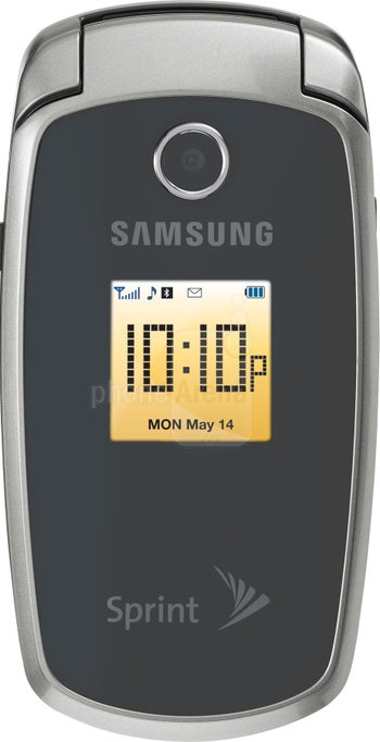 Samsung SPH-M300
