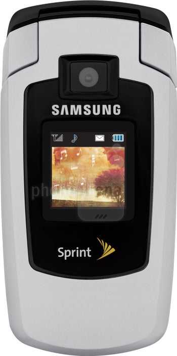Samsung SPH-M500