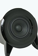 Parrot DS1120 Review