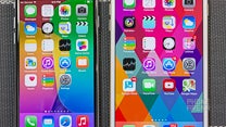 Apple iPhone 6 vs Apple iPhone 6 Plus