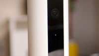 Canary Review