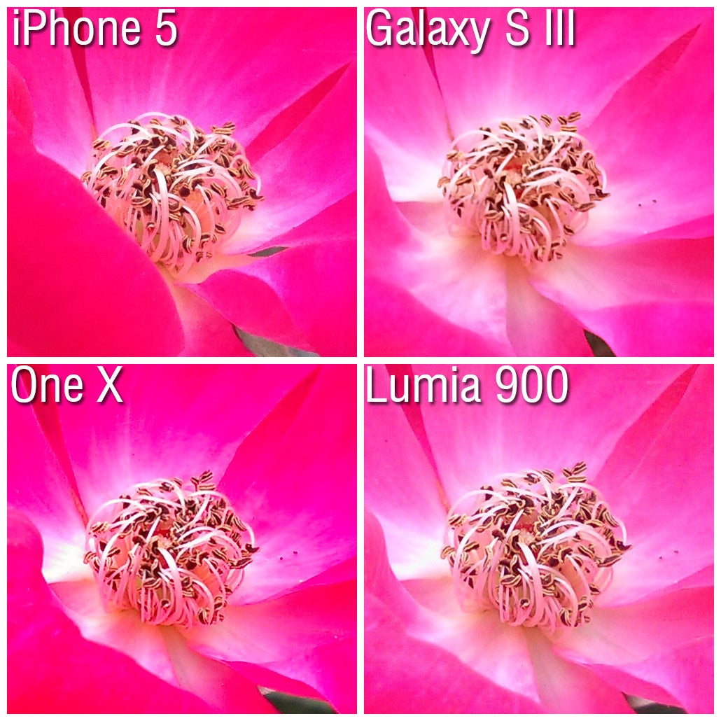 100% Crops - Camera comparison: Apple iPhone 5 vs Samsung Galaxy S III vs HTC One X vs Nokia Lumia 900