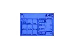 Samsung R225