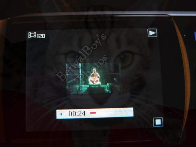 Sony Ericsson S700i review