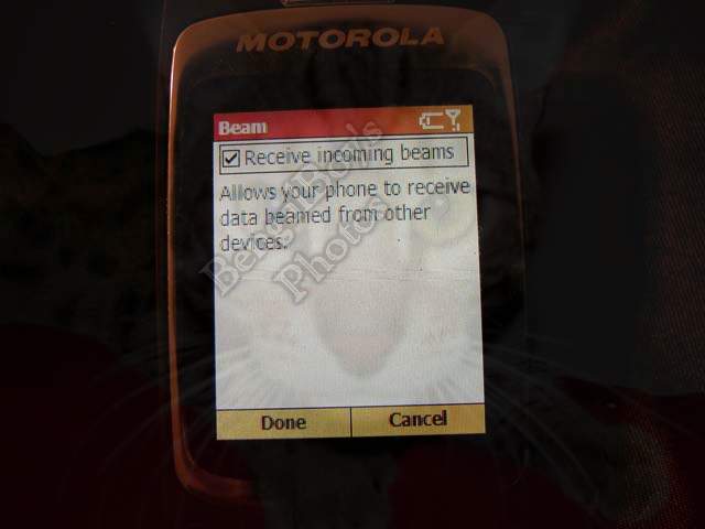 Motorola MPx220 review