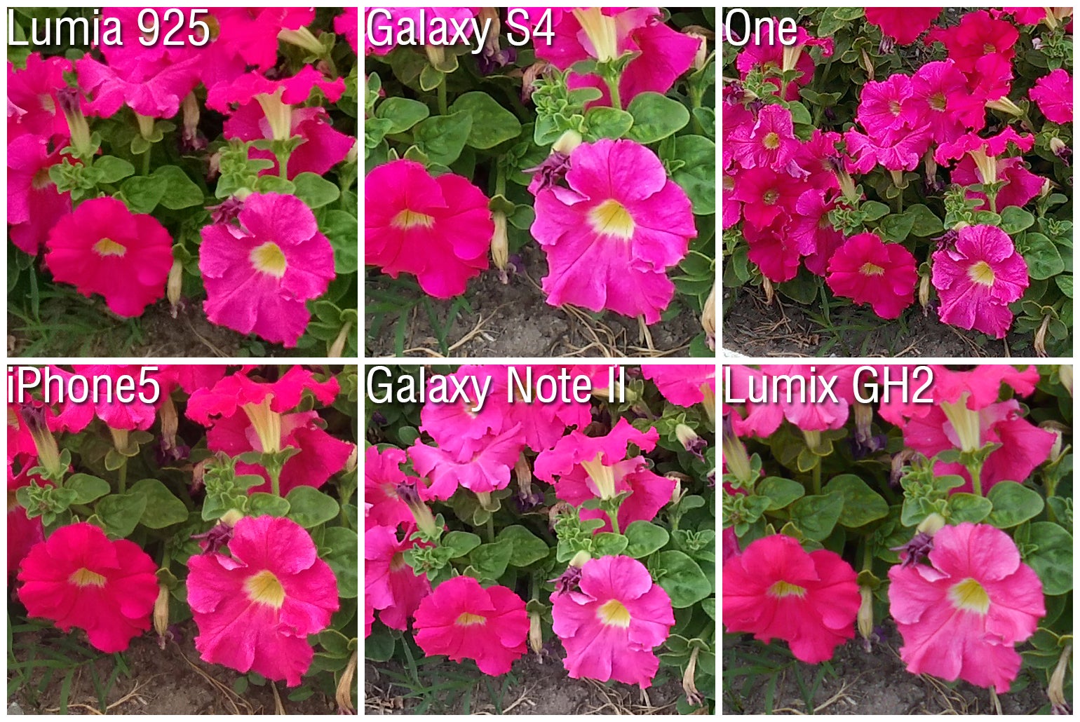 100% crop - Camera comparison: Nokia Lumia 925 vs Samsung Galaxy S4, HTC One, iPhone 5, Samsung Galaxy Note II