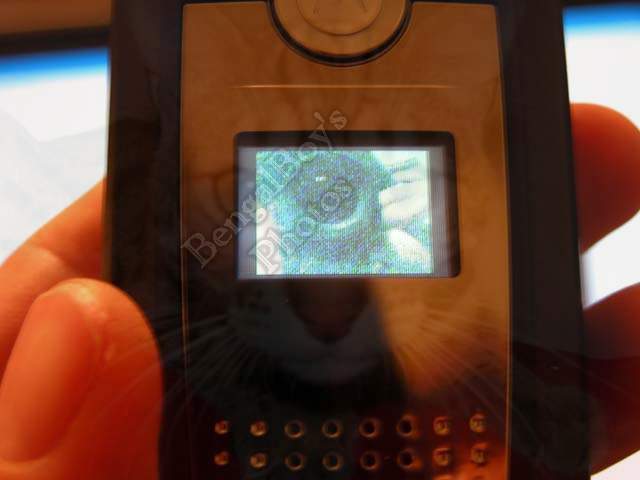 Motorola MPx220 review