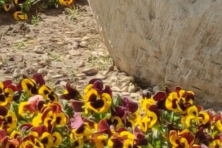 200% Crop from 25MP