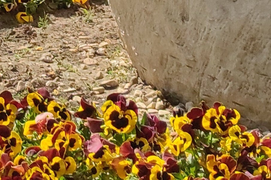 100% Crop from 108MP