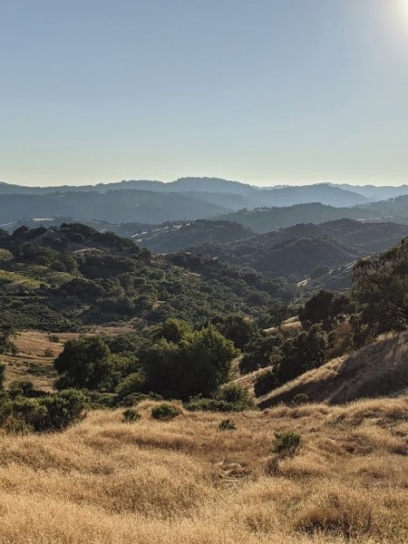 Google Pixel 4a 5G camera samples - Google Pixel 4a 5G vs Google Pixel 4a