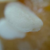 oppo-find-x3-pro-review3-microlens-camera-sample.jpg