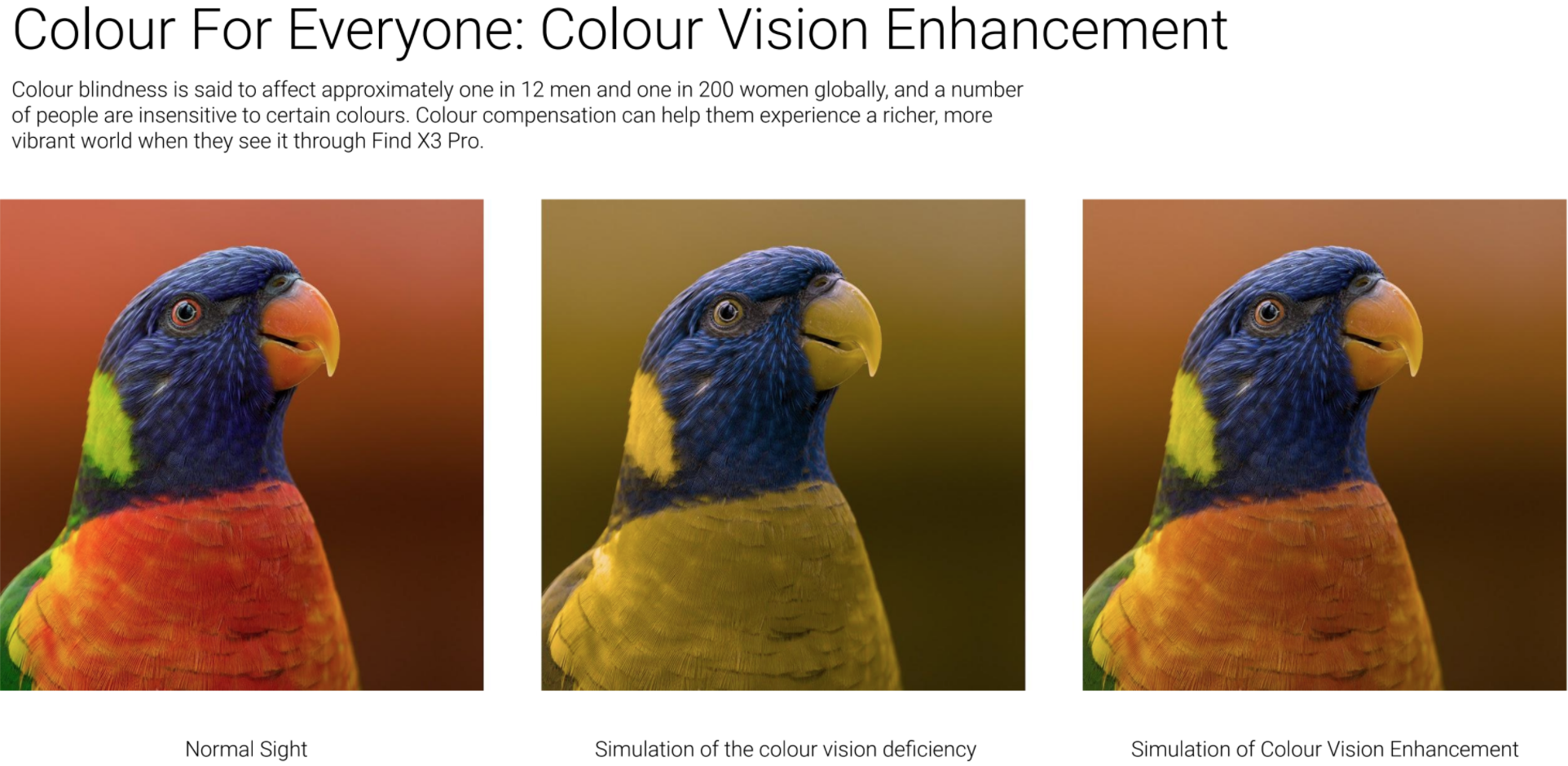 The Find X3 Pro can tailor its display to your color blindness level - Oppo Find X3 Pro review, the warning shot