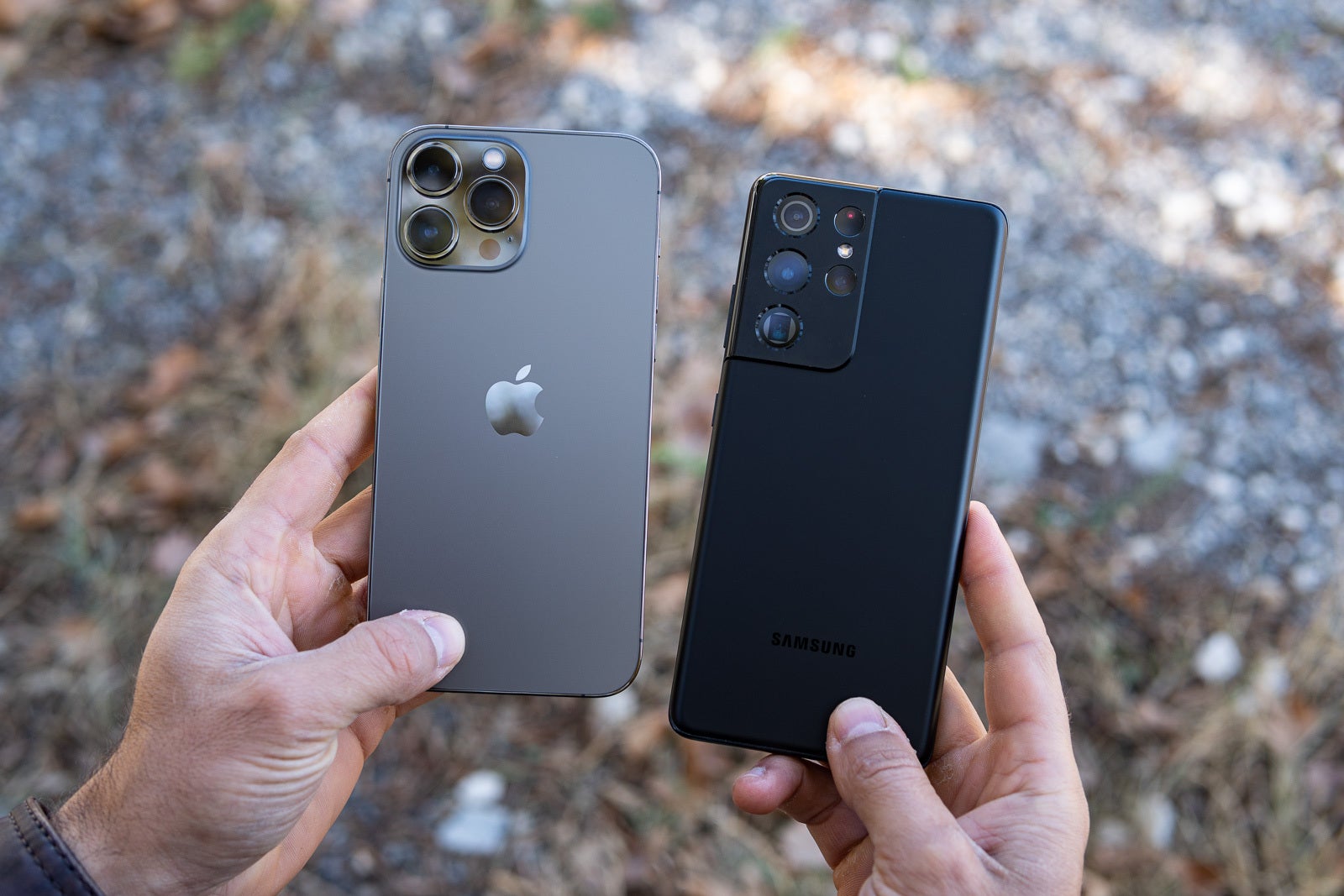 Pixel 6 Pro camera shootout vs Galaxy S21 Ultra and iPhone 13 Pro Max