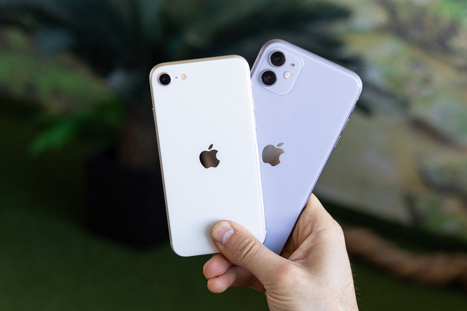 iPhone SE (2022) vs iPhone 11