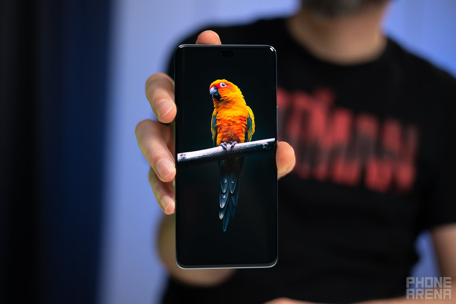 Bright but quad-curved, but bright... - Honor 200 Pro Review: The first dedicated Portrait phone