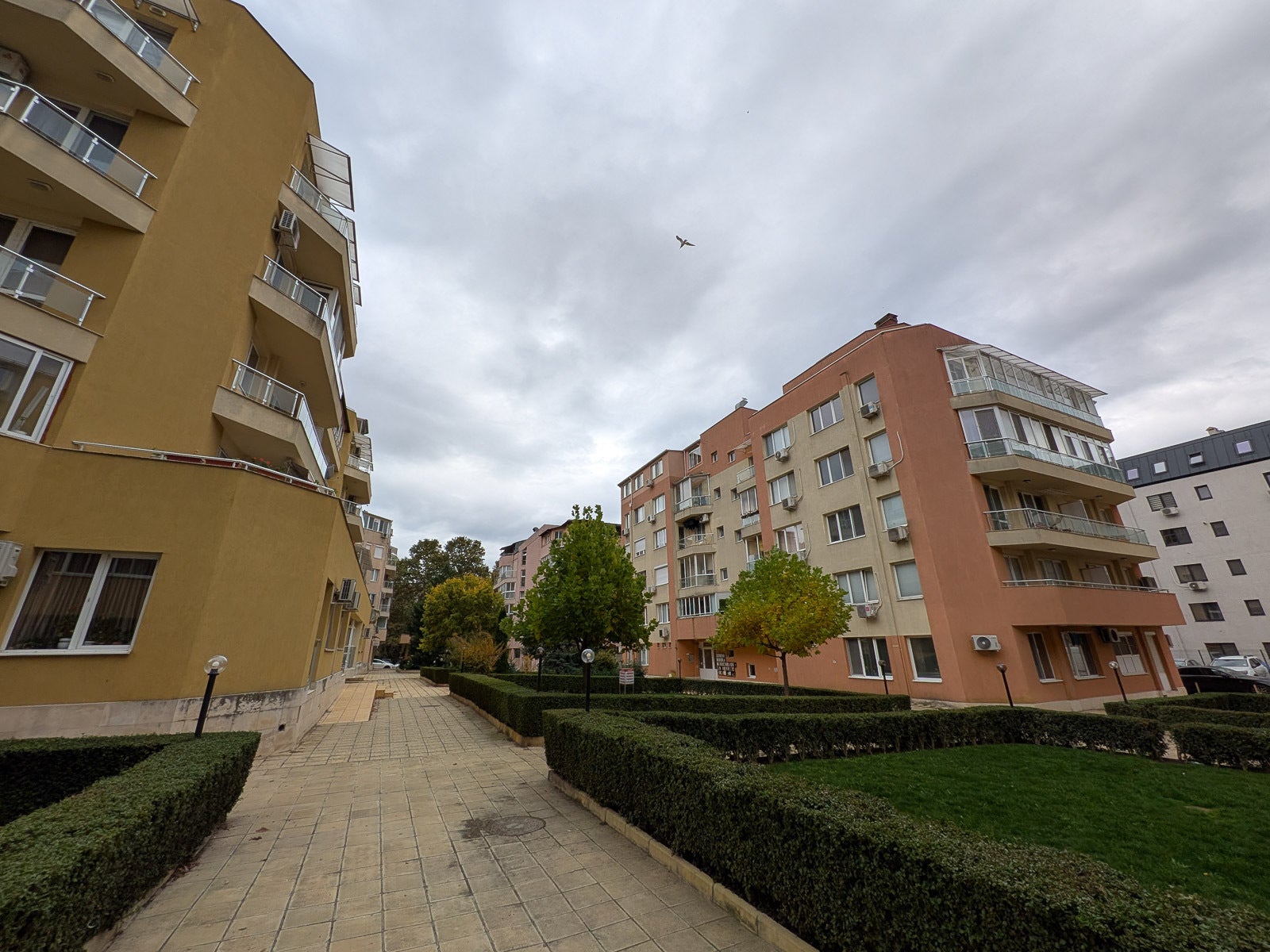 Pixel 9 Pro Fold - Google Pixel 10 Pro Fold vs Pixel 9 Pro Fold: Don&#039;t fall victim to the FOMO