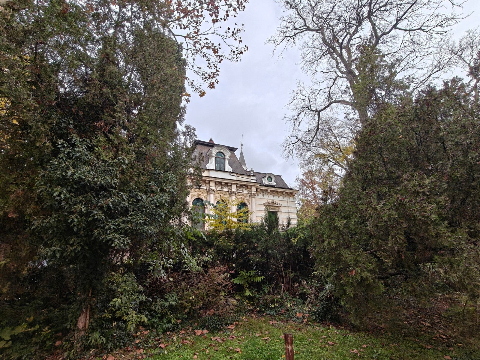 OnePlus 15 - OnePlus 15 vs iPhone 17 Pro Max: A worthy rival!