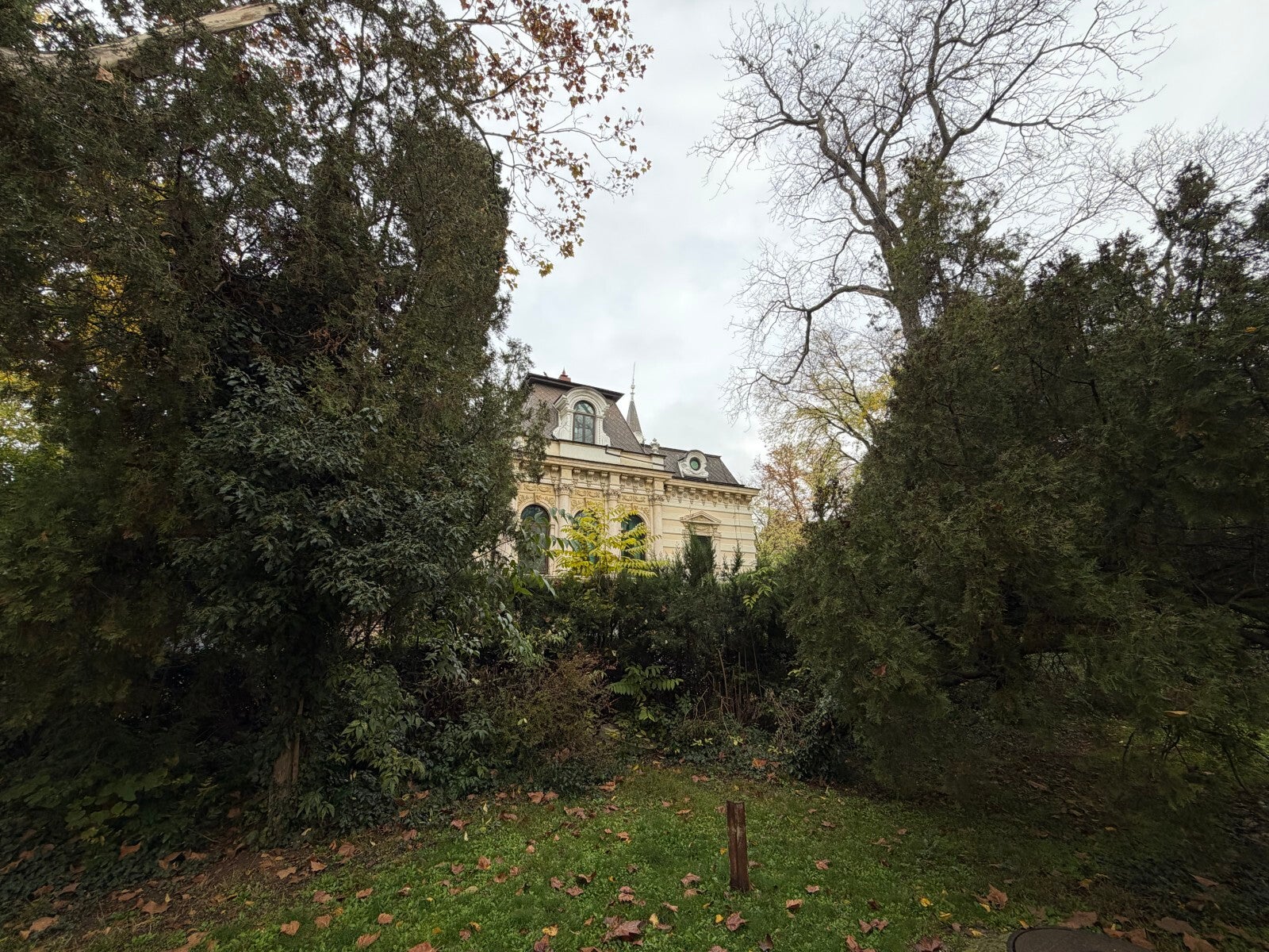 iPhone 17 Pro Max - OnePlus 15 vs iPhone 17 Pro Max: A worthy rival!