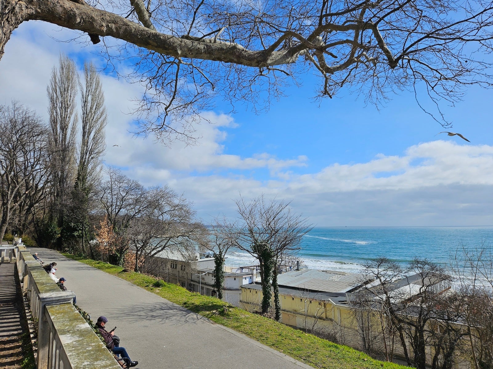 S23 - Samsung Galaxy S26 vs Galaxy S23: Is it time to upgrade?