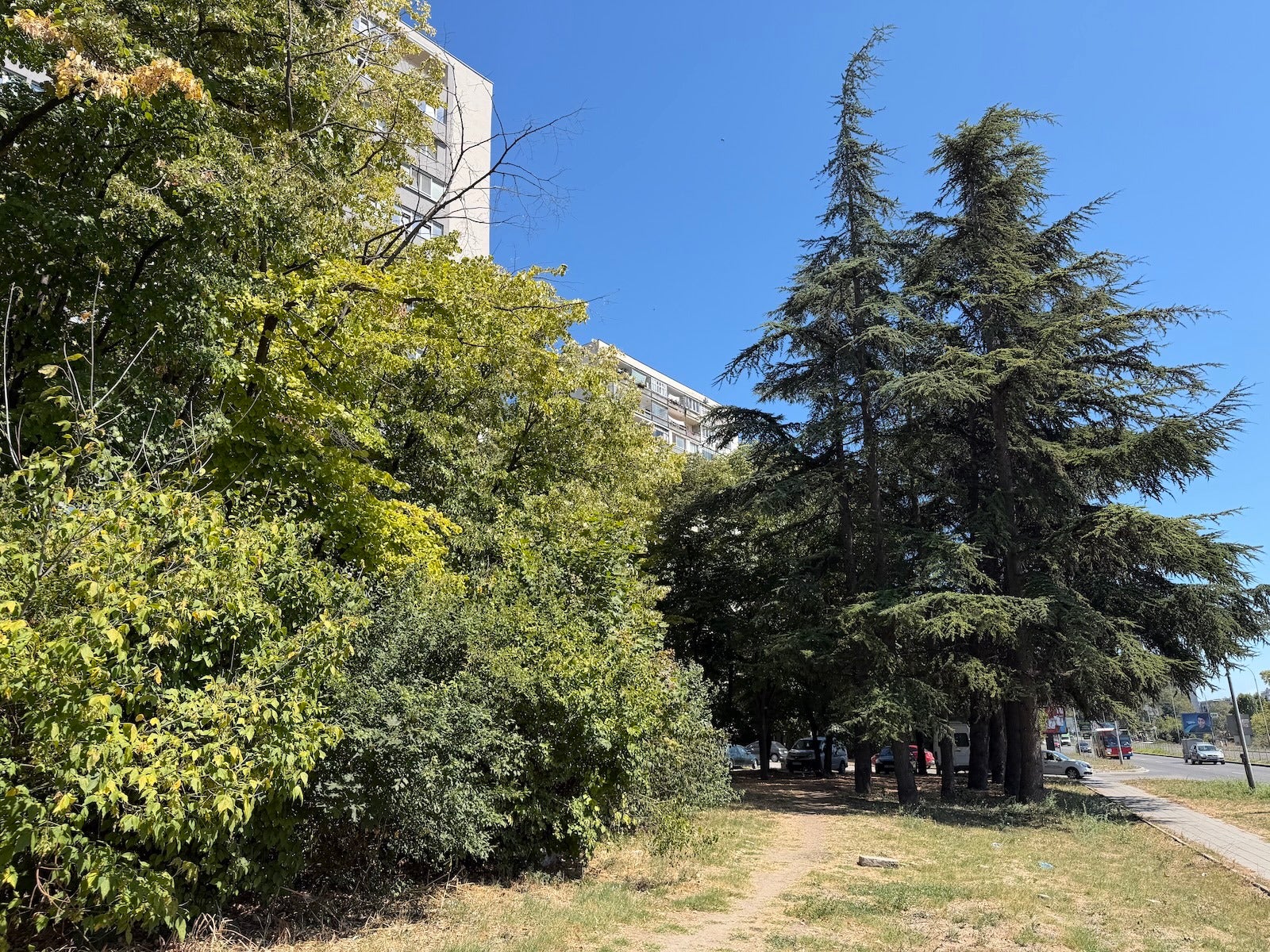 iPhone 17 Pro - | - Pixel 11 Pro vs iPhone 17 Pro: All the differences explained