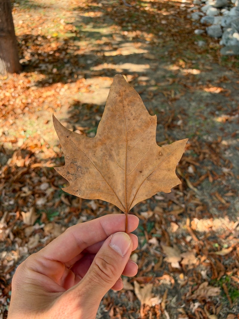 f2.8