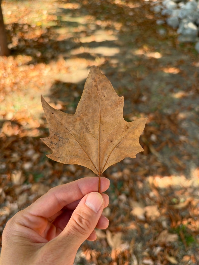 f1.48