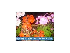 Sony Ericsson K750 review