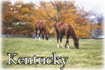 kentuckyloan