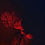 FEllvoid